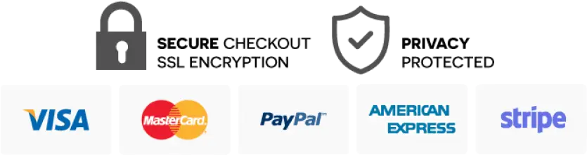 Secure checkout with multiple payment options
